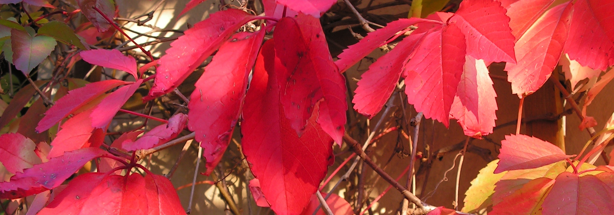 Vinaora Nivo Slider 3.x